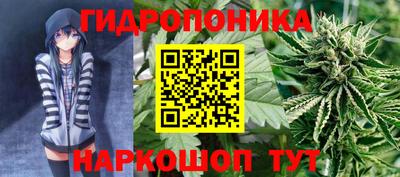 твердый Пенза
