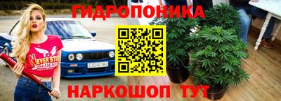 дмт Партизанск