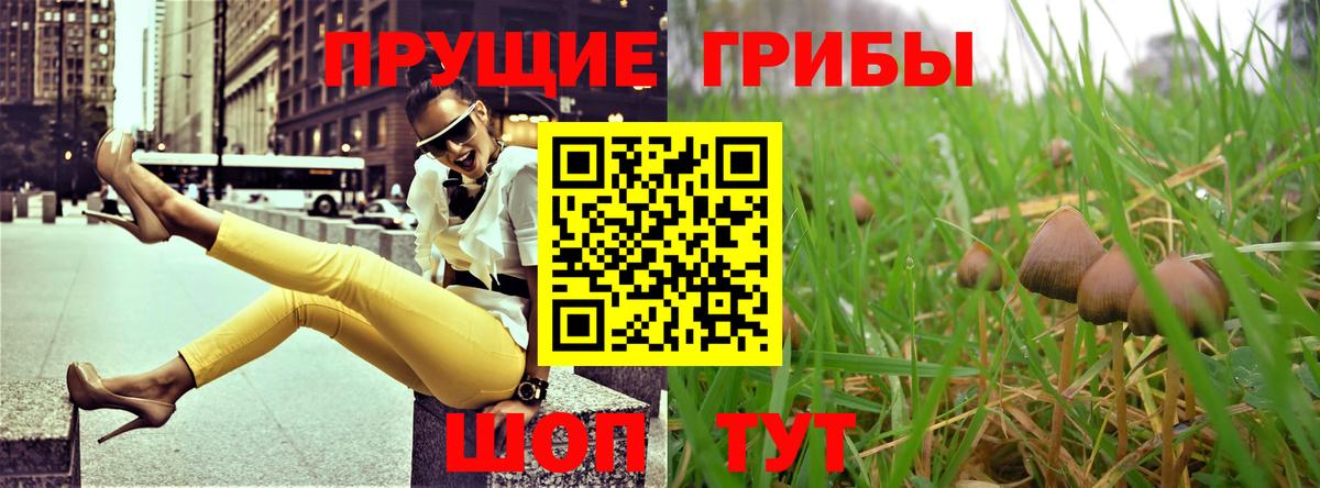 Псилоцибиновые грибы Cubensis  хочу наркоту  Урай  Вход с VPN 