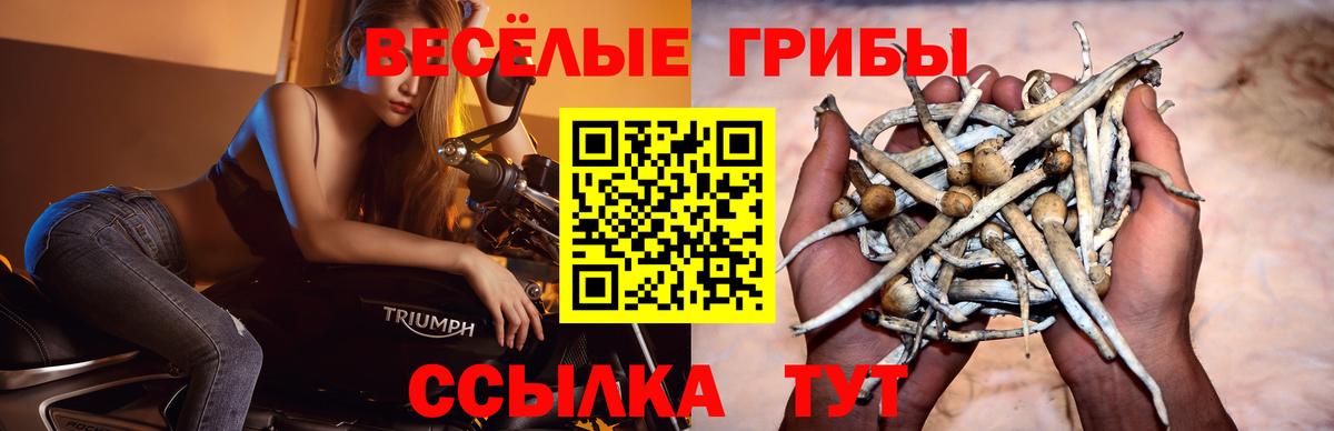 Псилоцибиновые грибы мухоморы Урай